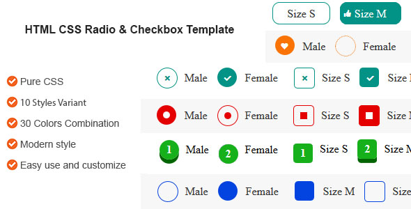 Modelo de rádio e caixa de seleção HTML CSS
