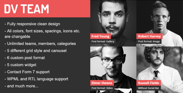 DV Team Responsive Showcase WordPress Plugin