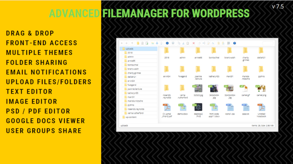 Plugin do gerenciador de arquivos para WordPress