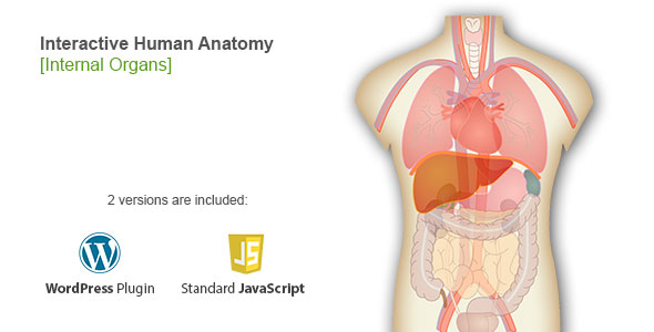 Diagrama de órgãos do corpo humano interativo