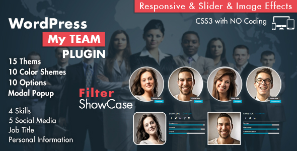 Meu plug -in do WordPress de exibição de equipe